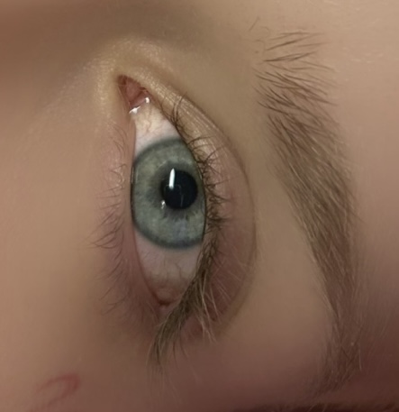 Eyelash Extention Removal at Misty Lashes Luxe in Fresno, CA