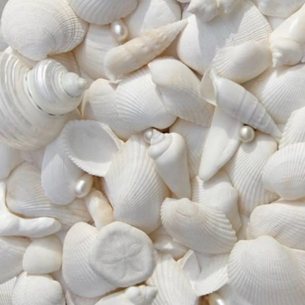 Consultation at Hair by Brooke Skafas in Seabrook, NH