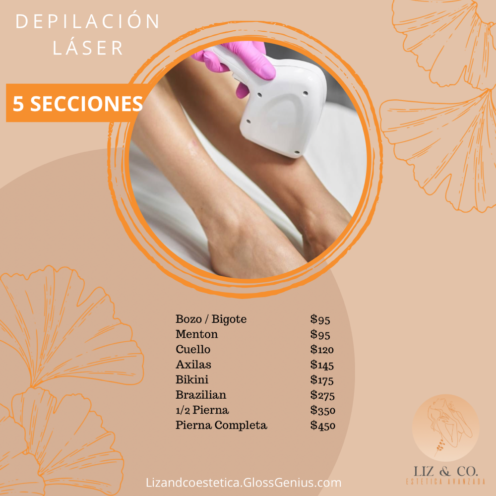 1/2 Pierna (5 Secciones)