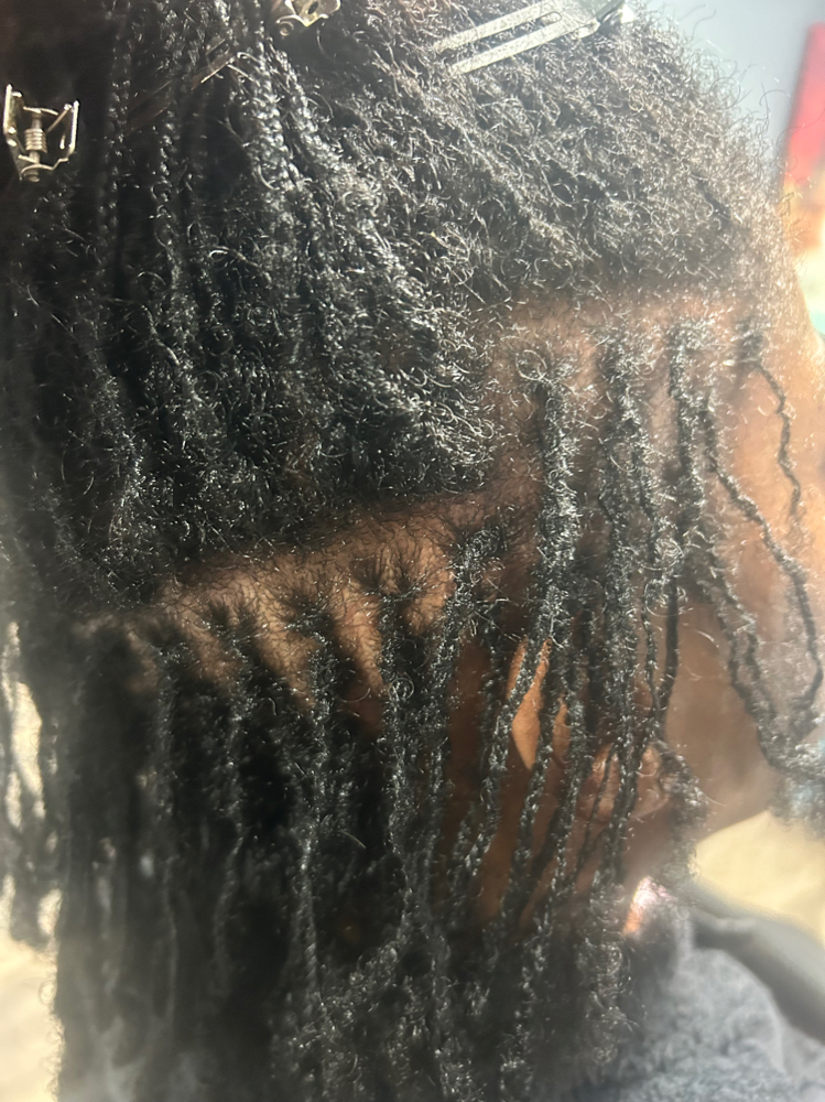 Interlocking/ Tighting at The Naturlist Locd Queen in Indianapolis, IN