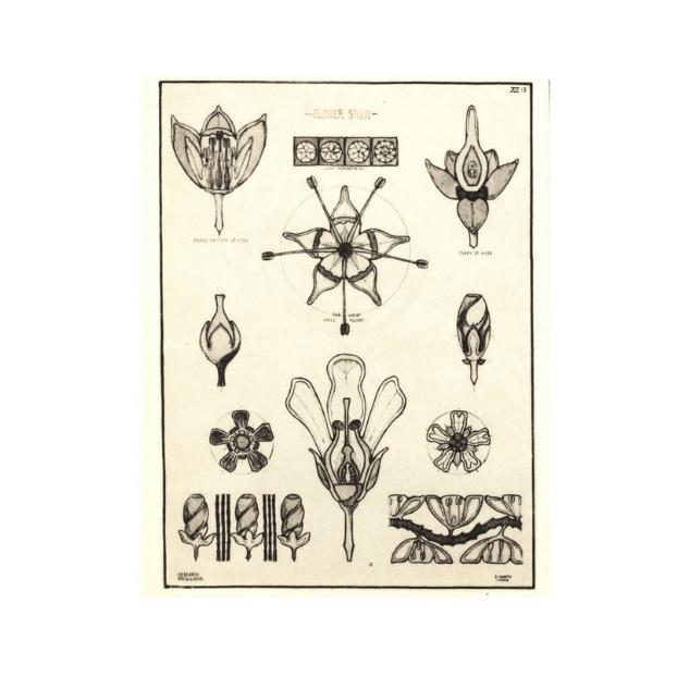 Repeatable Vintage Flowers 3