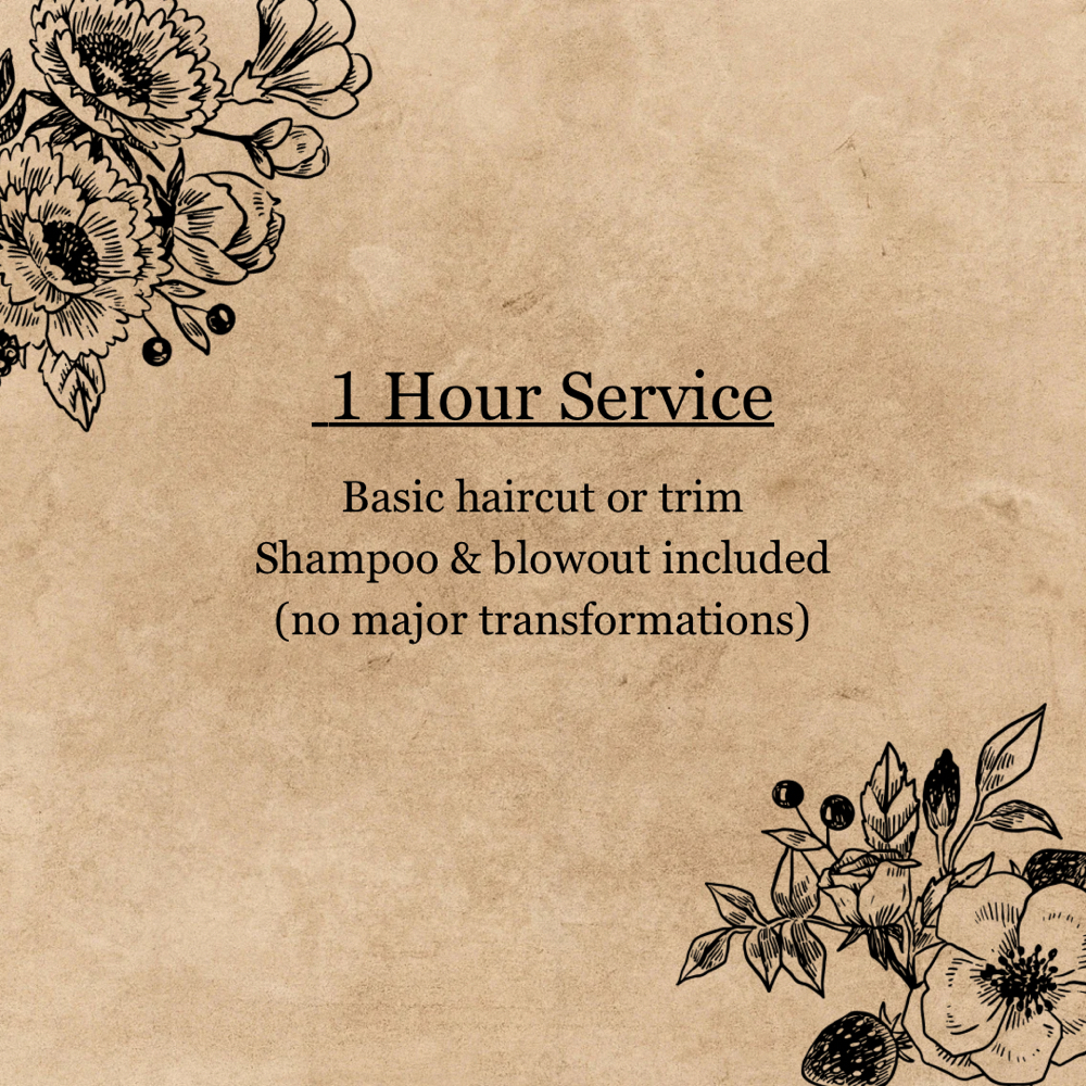 1 Hour Service at Dahlia Salon + Spa in Evans, GA