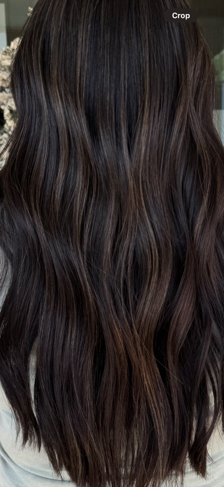 Root Touch Up at Byallywilde in West Jordan, UT