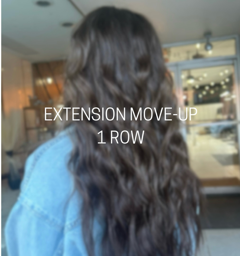 Extension Move Up-1 Row