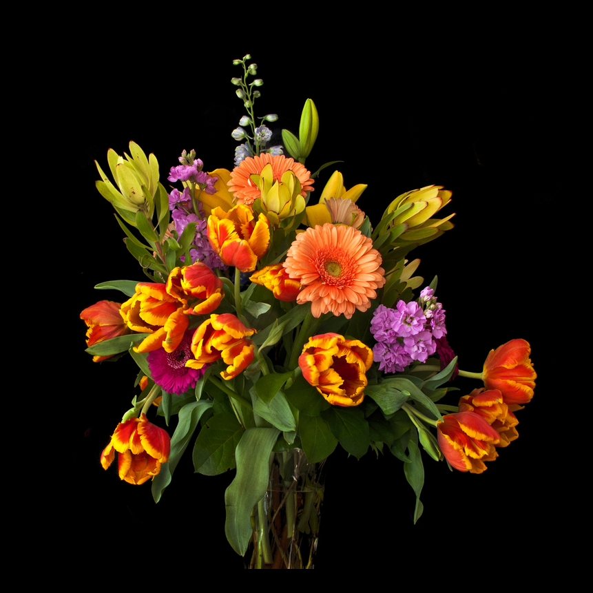 Elite Refresh Bundle at JR Hair Co. in Lincoln, NE