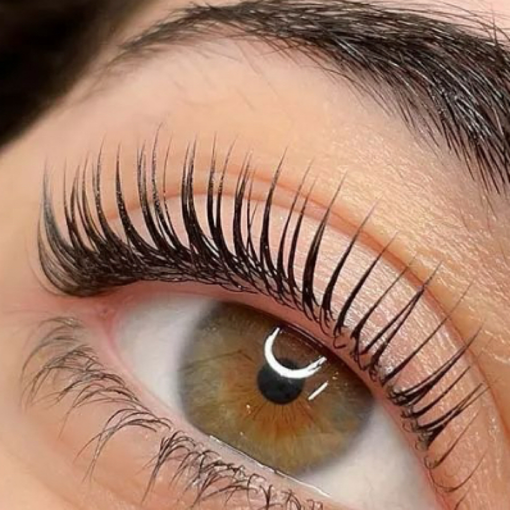 Lash Lift Special at She’ Luxe Lashes in Greenville, NC