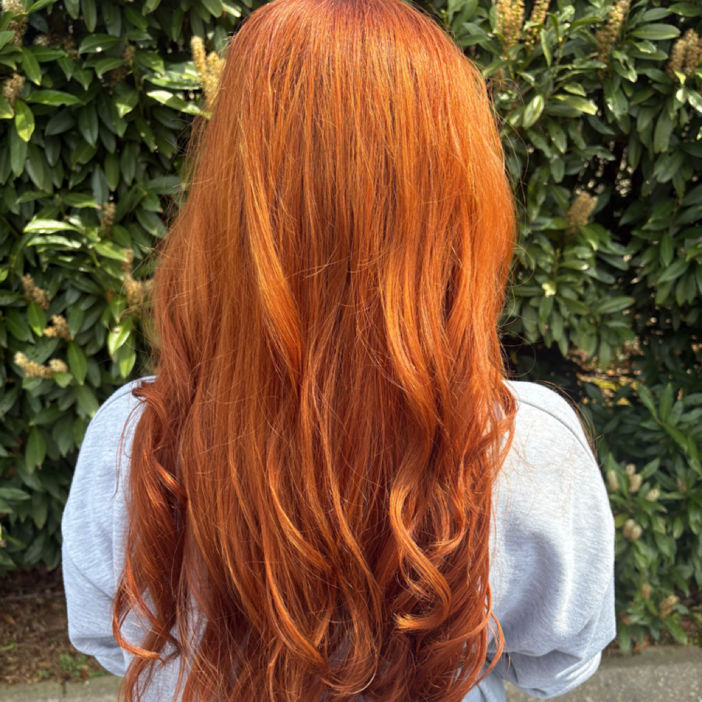 Signature All-Over Color at Glamazon Hair Studio in Knoxville, TN