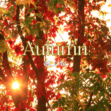 Autumn Glow Renewal Facial