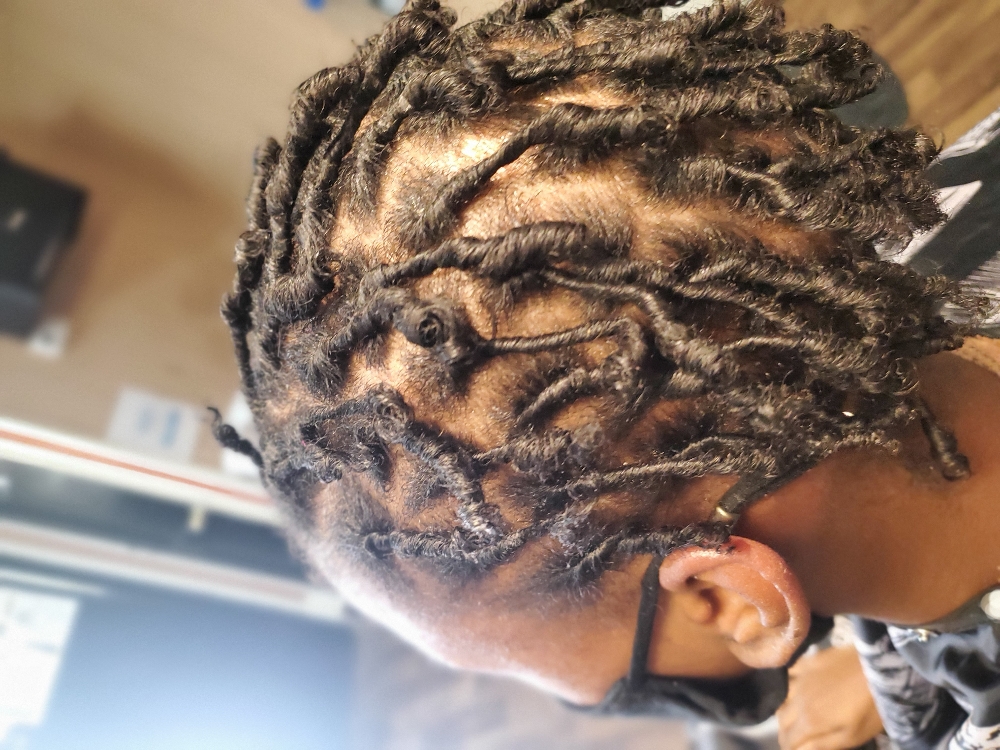 Starter Locs W Coils