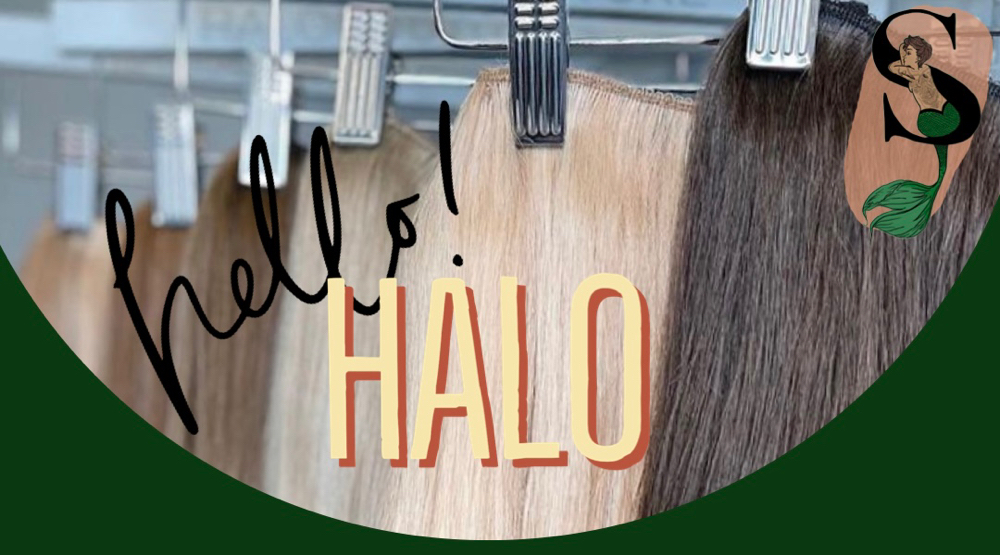 Halo Consultation at The Moth and Mushroom Salon in Burnsville, NC