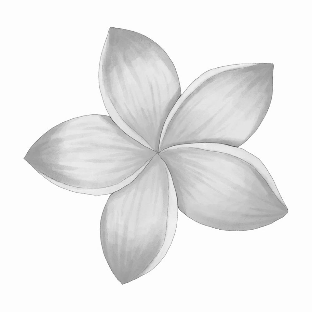 Spray Tanning (Light Glow) at Adorn Aesthetics in Washington, MO