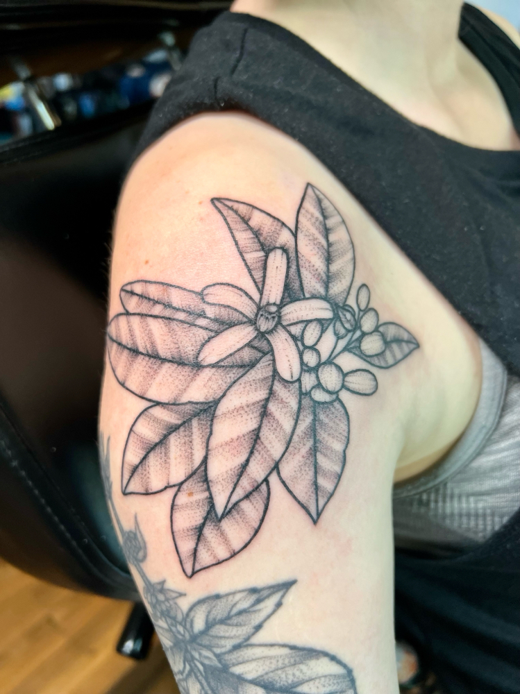 Cora - Medium Tattoo