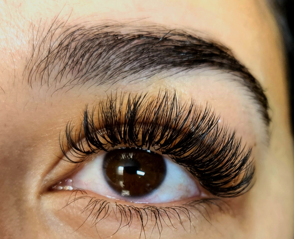 Hybrid Lashes