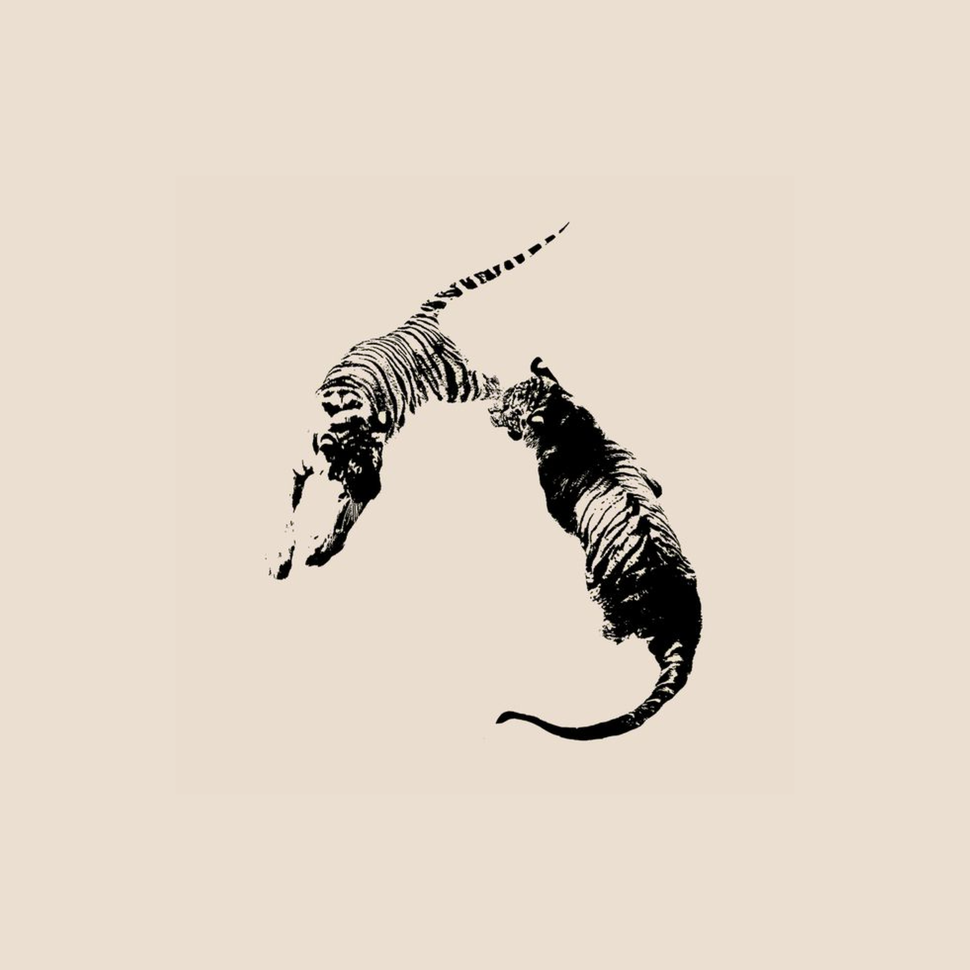 (Two) Fineline Tattoos (One Person) at Tiger Aura Studio in NRH, TX