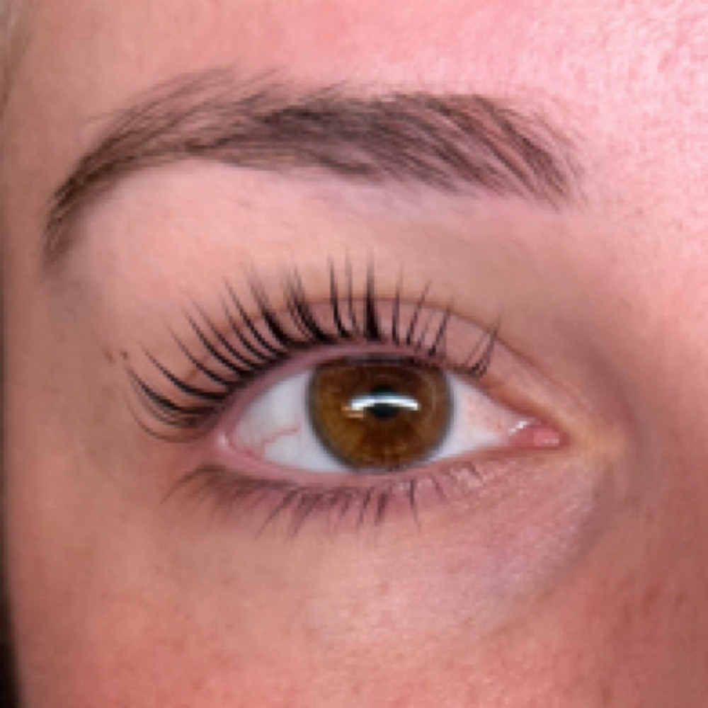 Korean Lash Lift & Tint at Renewed Beauty Co. in Reno, NV