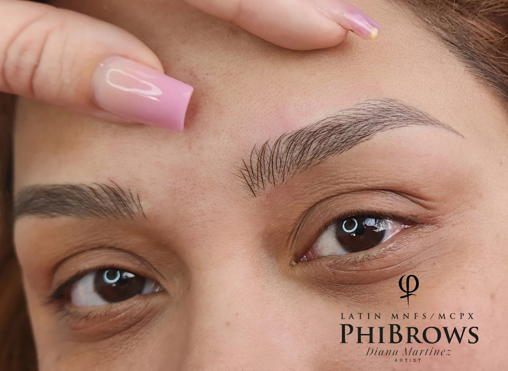 Retoque Anual at DianaRosaBrows in Houston, TX