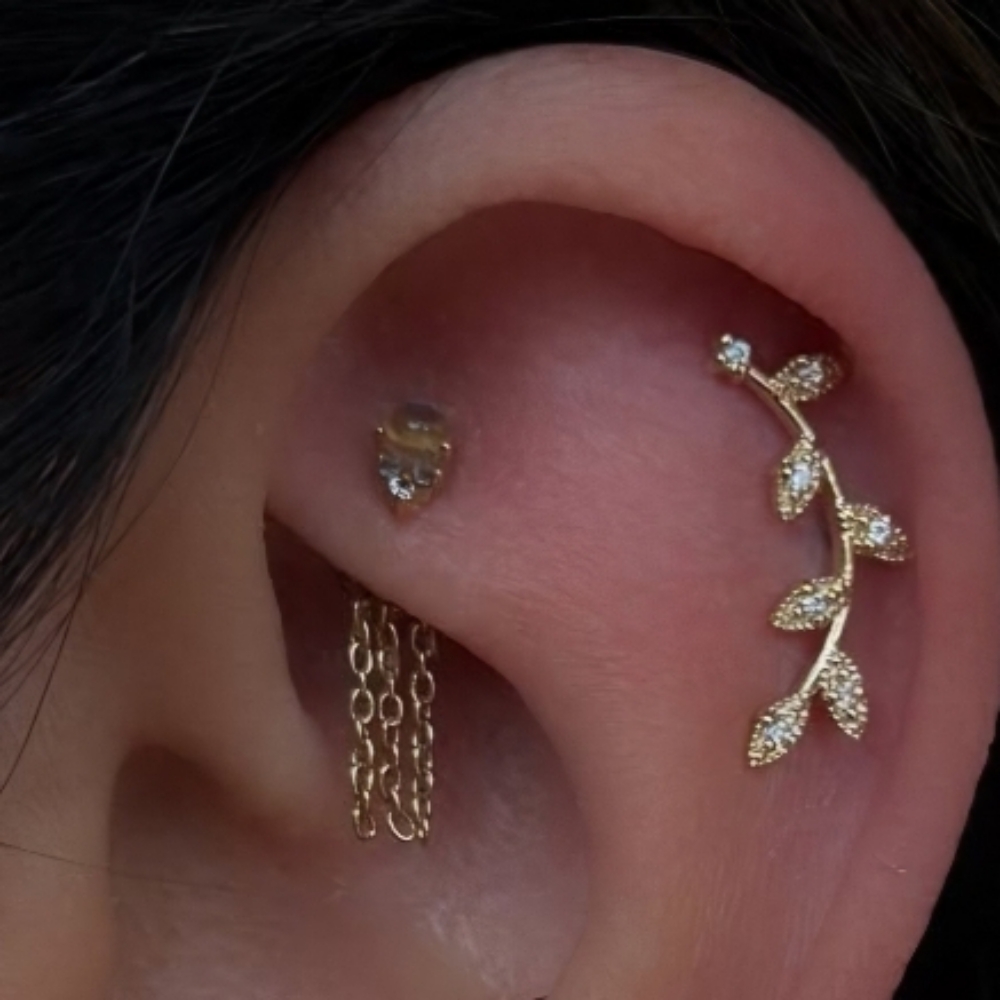 Rook Piercing at Gilded Needle in BRENTWOOD, CA