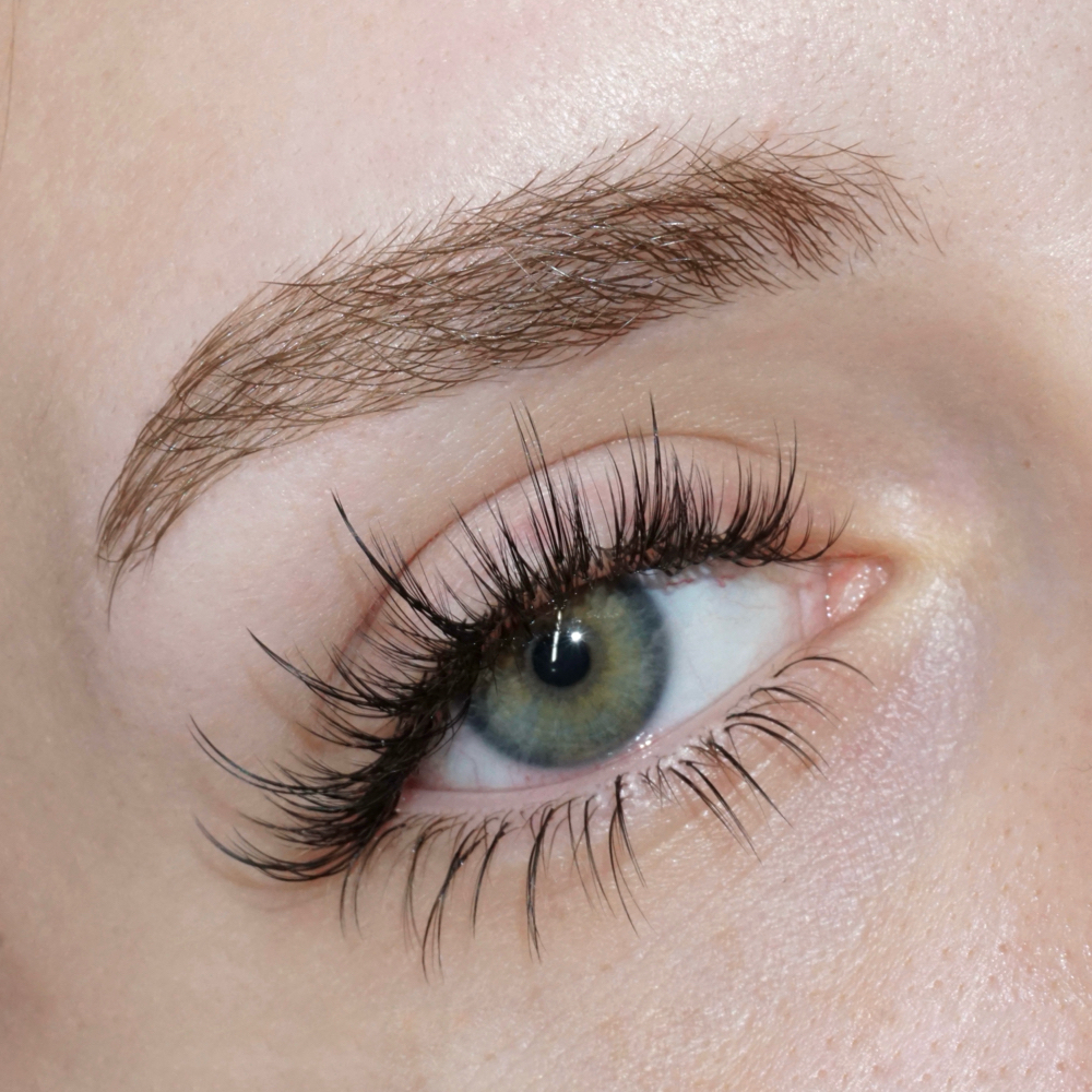 Lower Lash Extension at Lux Lash and Brow in Mansfield, TX