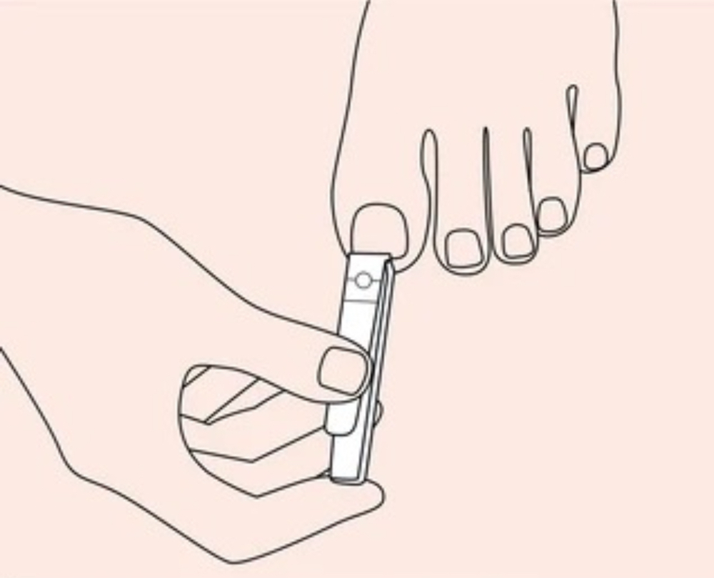 Toe Nail Trim *no Polish