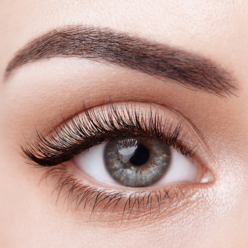 Eye - Brow and Lash Tint