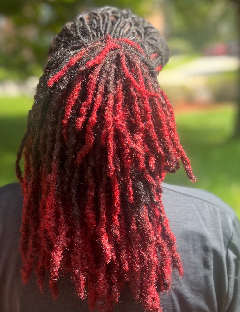 Double Process Loc Tips Color