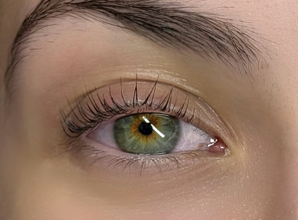 Lash Tint Only
