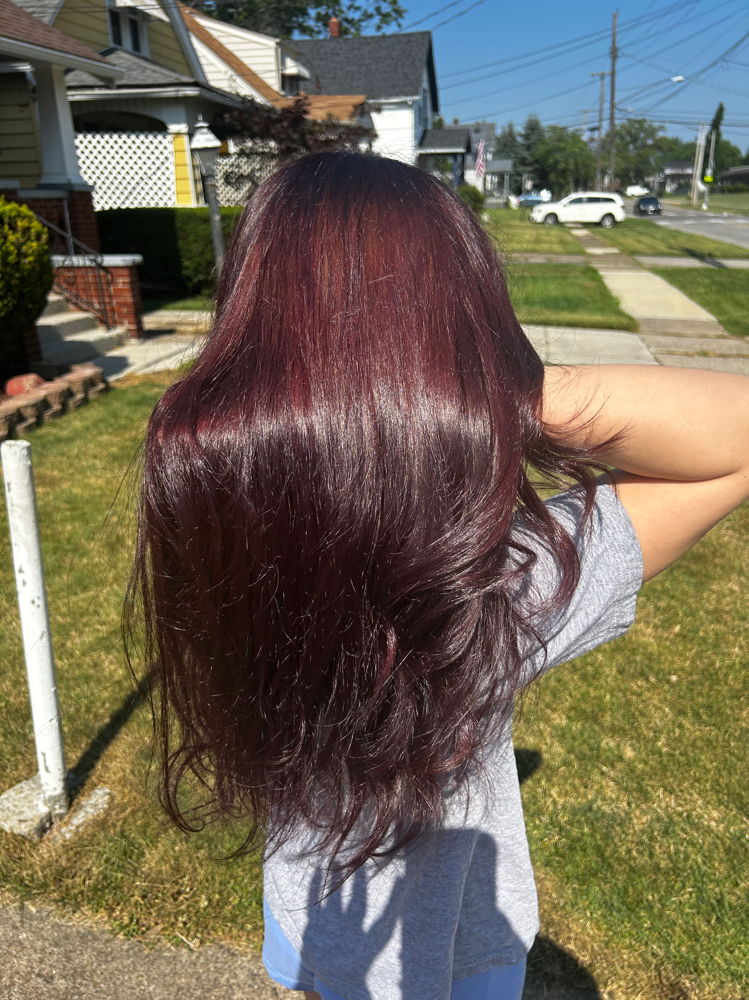 Color at VaehBraidedIt in Lorain, OH