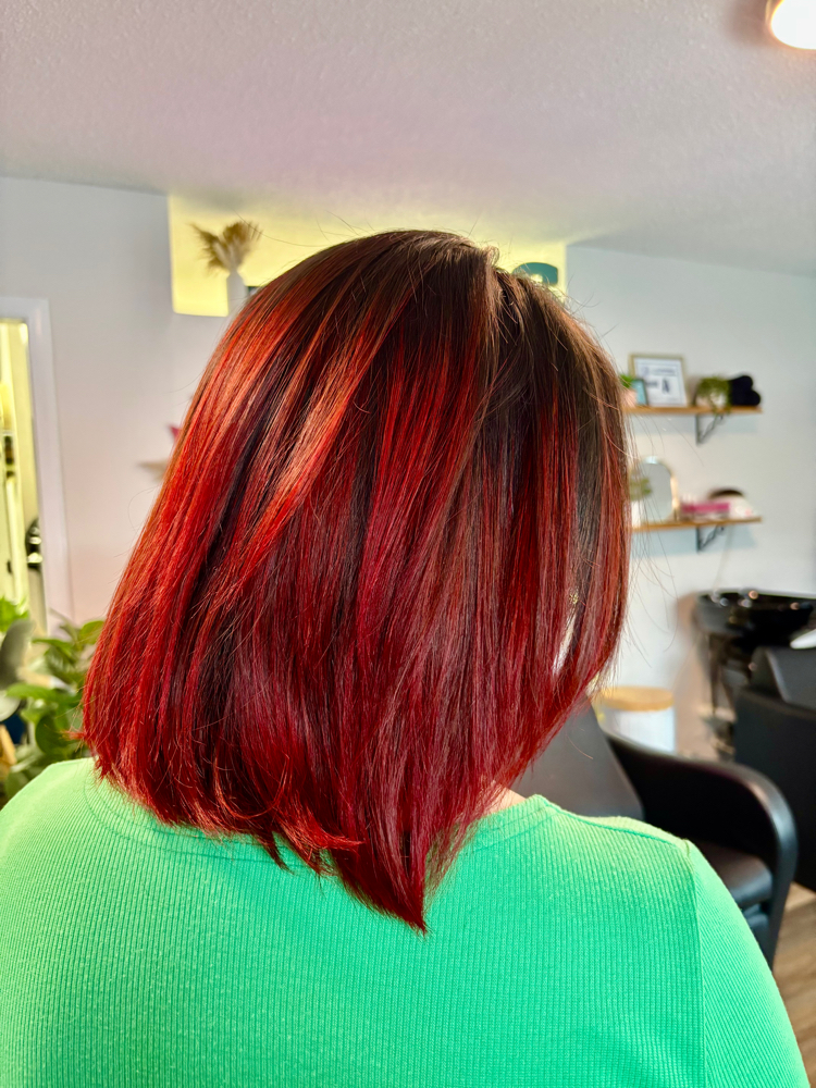 Dry Cut/Haircut Add On