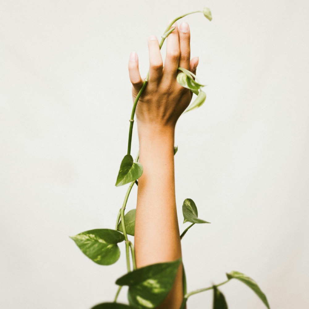 Half Arm at WAXD | Face and Body Waxing in Pasadena, TX