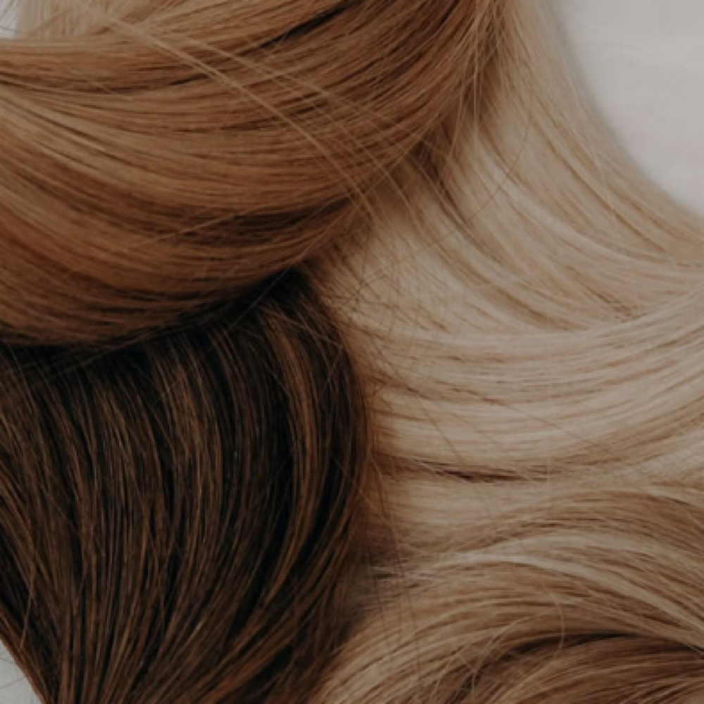 Jr Stylist All Over Color at Winters Haven Beauty & Soul in Center Valley, PA
