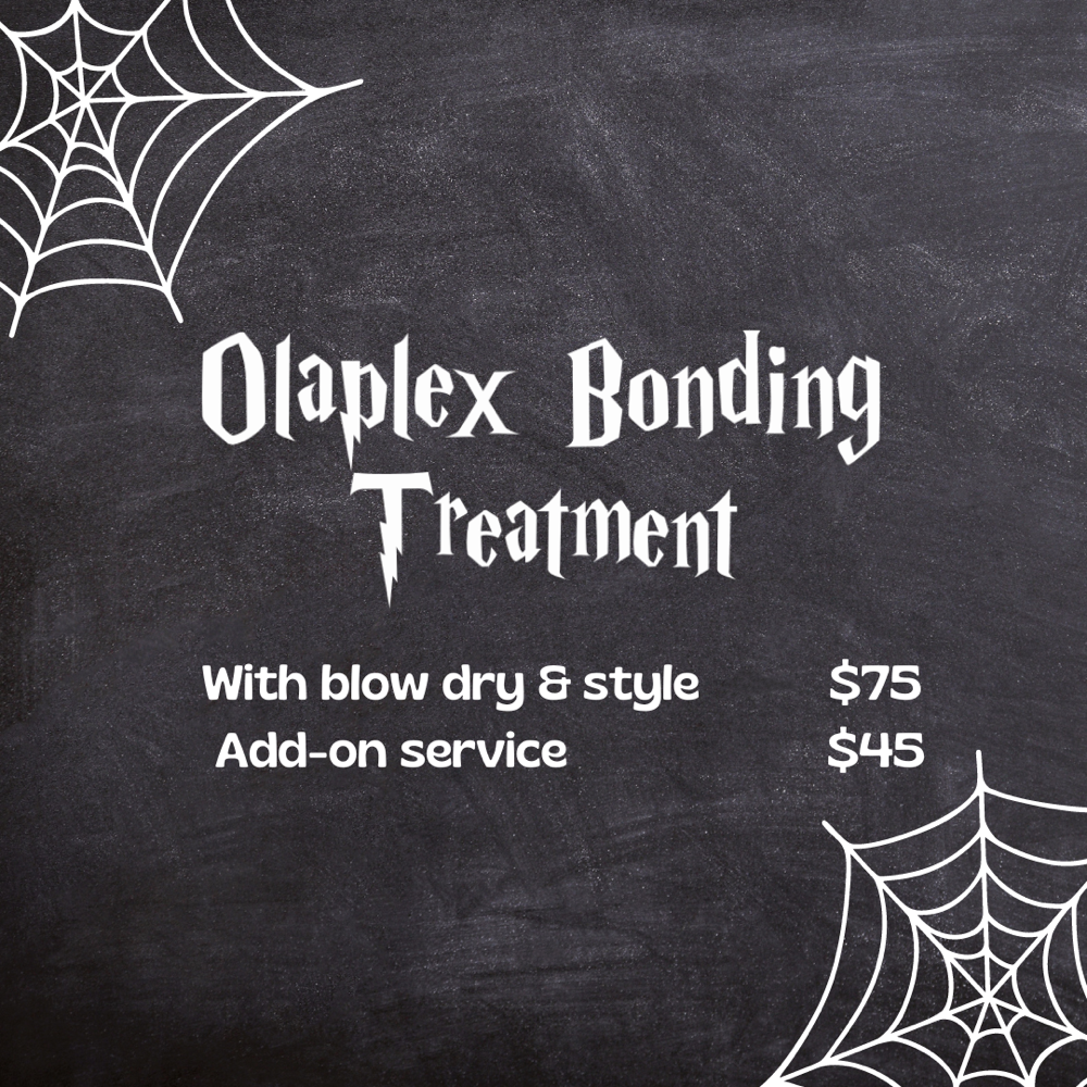 Olaplex Stand Alone Treatment