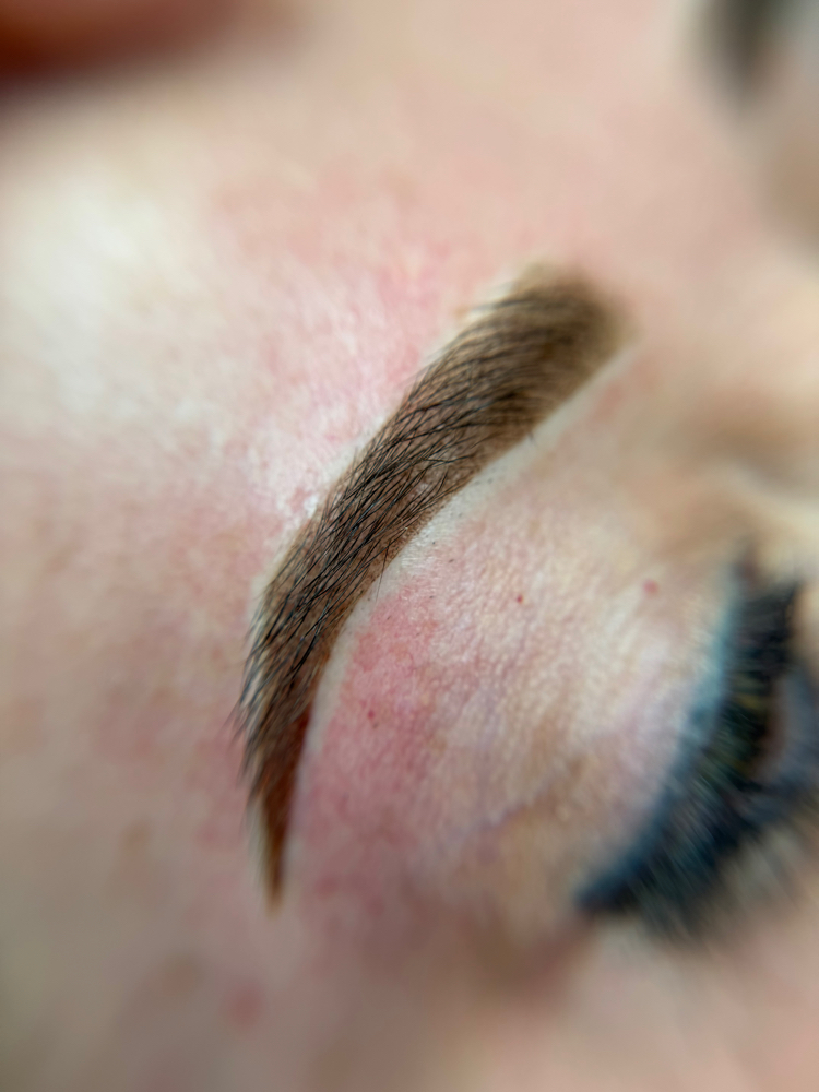 Annual Touch Up {Brows}