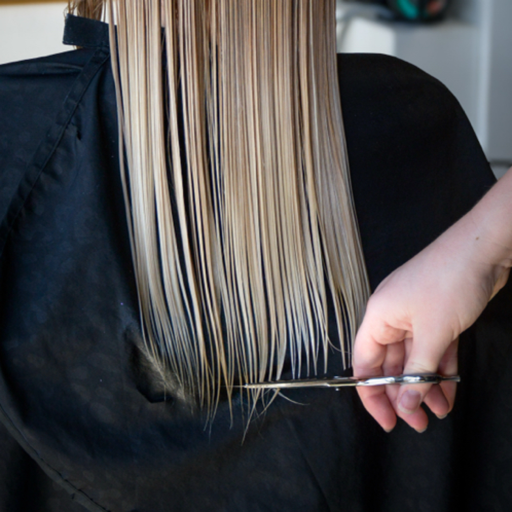 Hair Cuts at Ash and Honey Salon in Grand Junction, CO