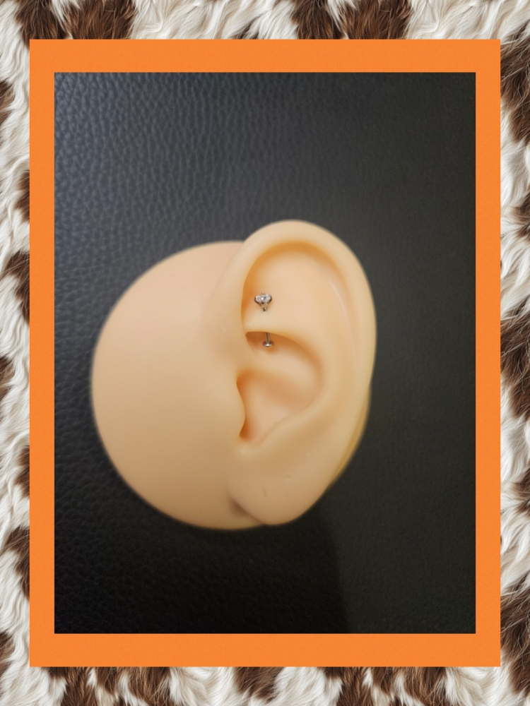 Rook Piercing