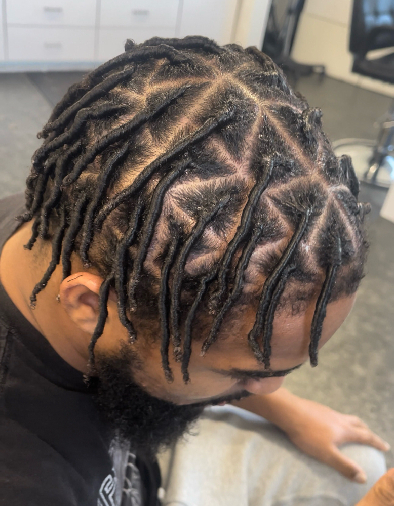 Small Starter Locs