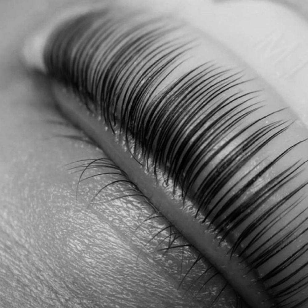 Lash Lift + Tint at Love, Lex Esthetics in Lincoln, NE