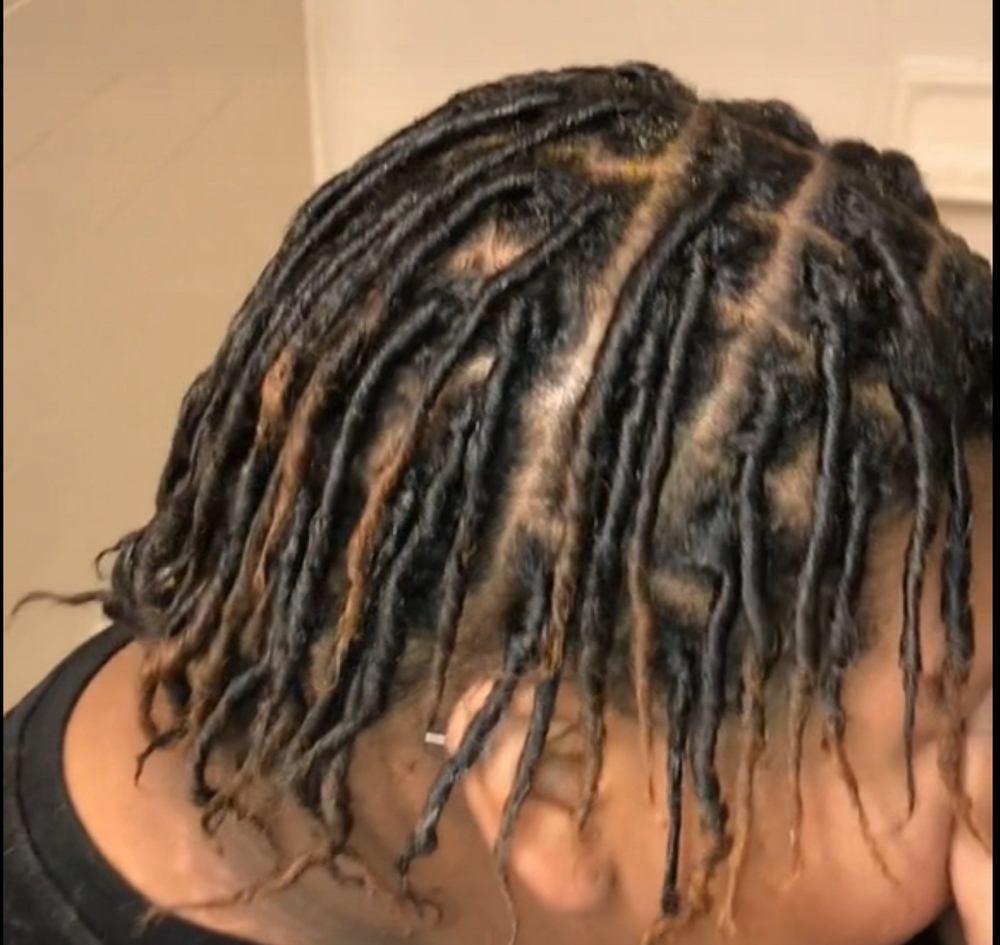 Starter Locs