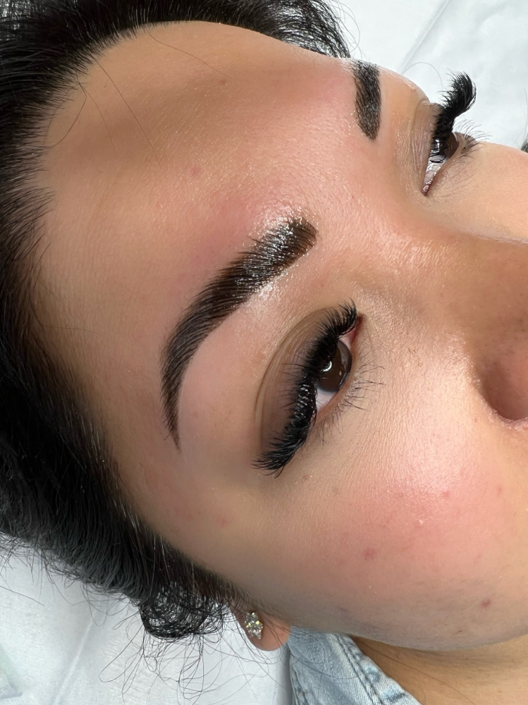 Brow Lami, Wax, & Tint