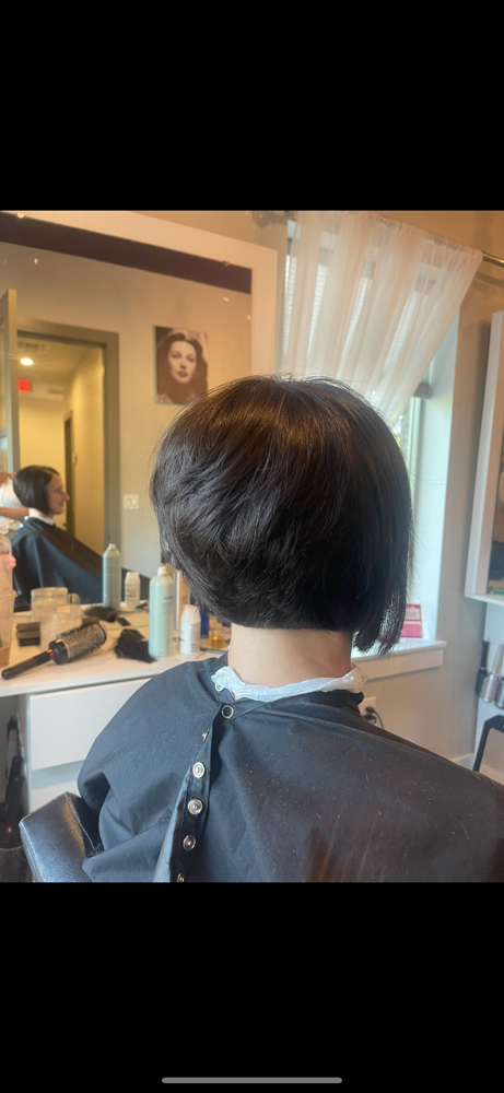 Shampoo, Precision Haircut, & Style