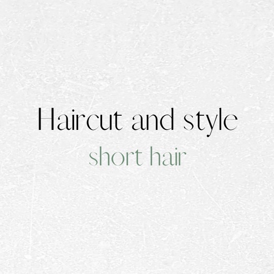 Haircut And Style (short hair)