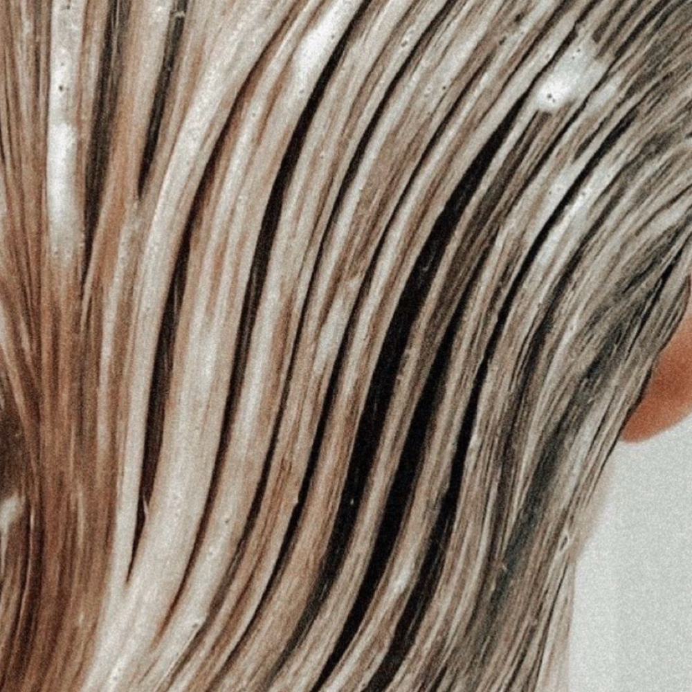 KM Angel Masque at Shayla Nelson | Extension Specialist in Sandusky, OH