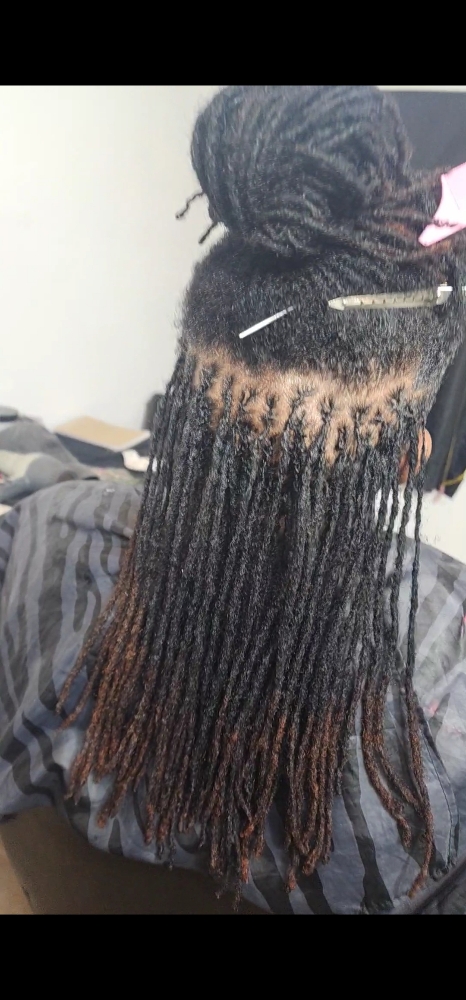 Loc Maintenance at LG Stylez LLC in Fraser, MI