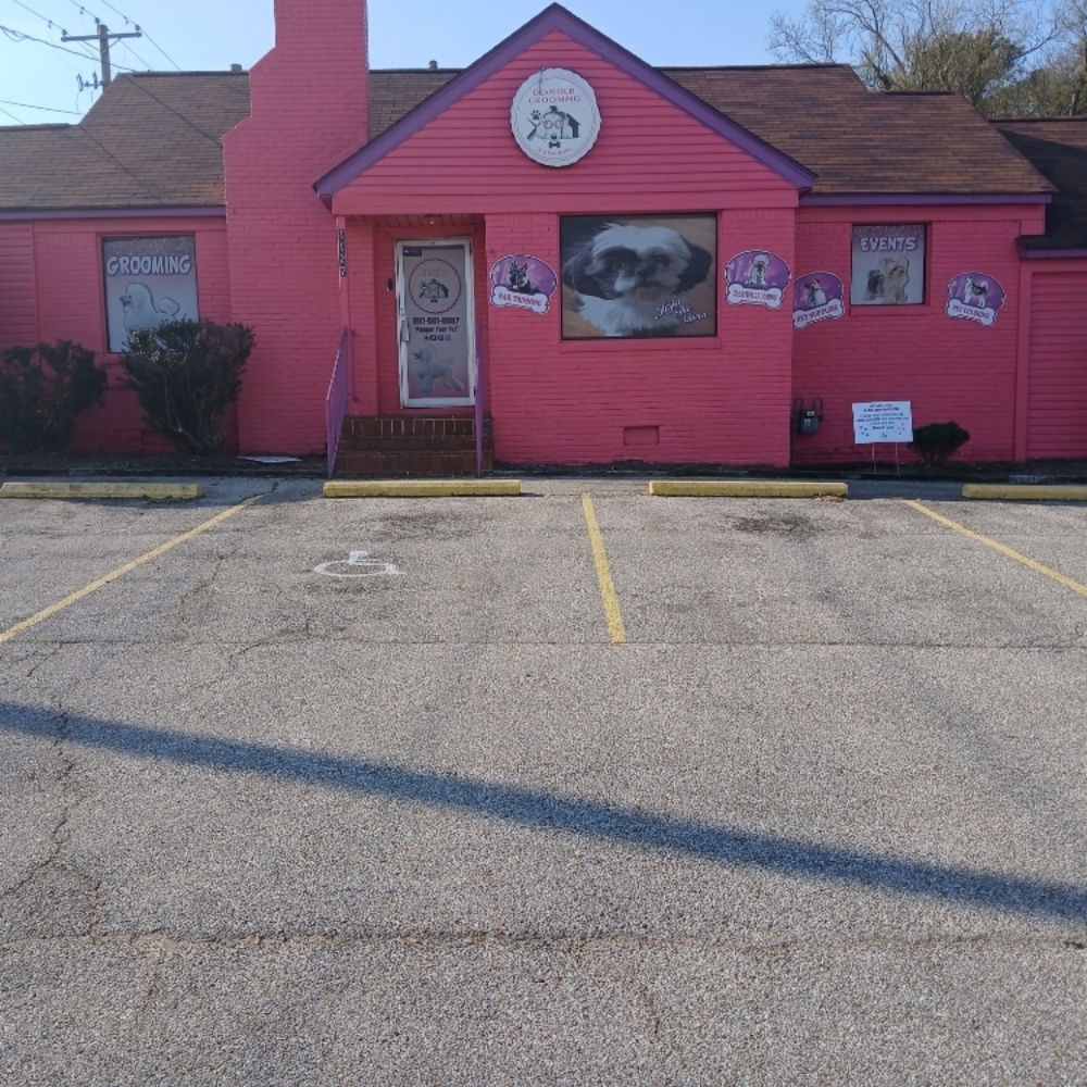 Doggy Daycare at Glamour Grooming And Boarding in Memphis, TN