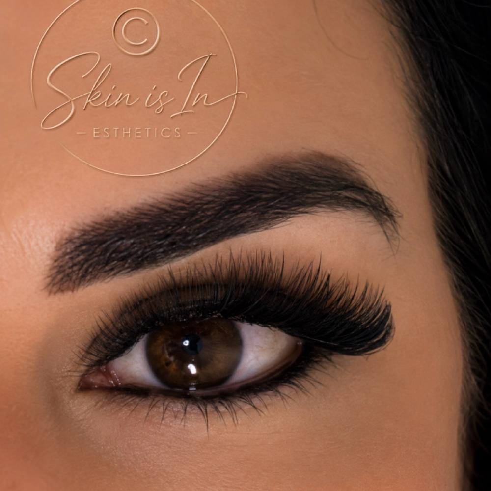Lash Fill Volume *Every 2~3wks at Skin Is In Esthetics in Sarasota, FL