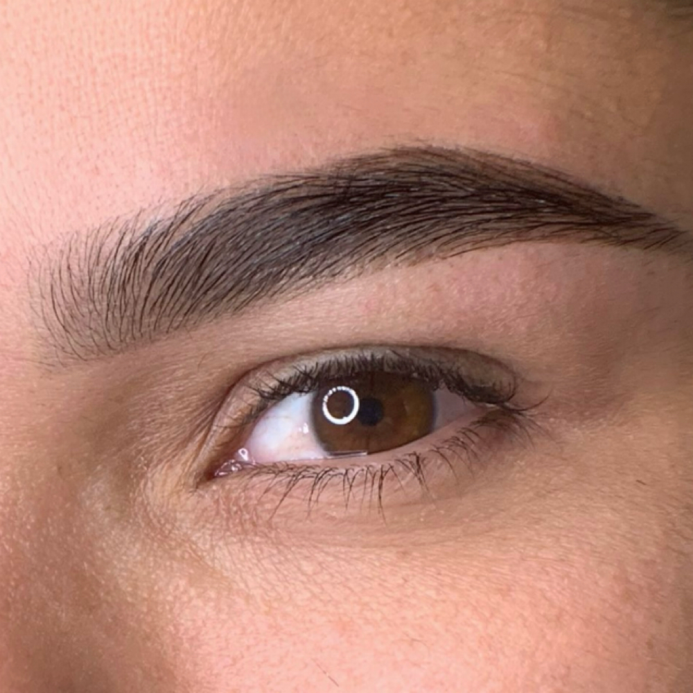 Eyebrow Shape/ Hybrid tint at Beauty Brows Center LLC in Tampa, FL