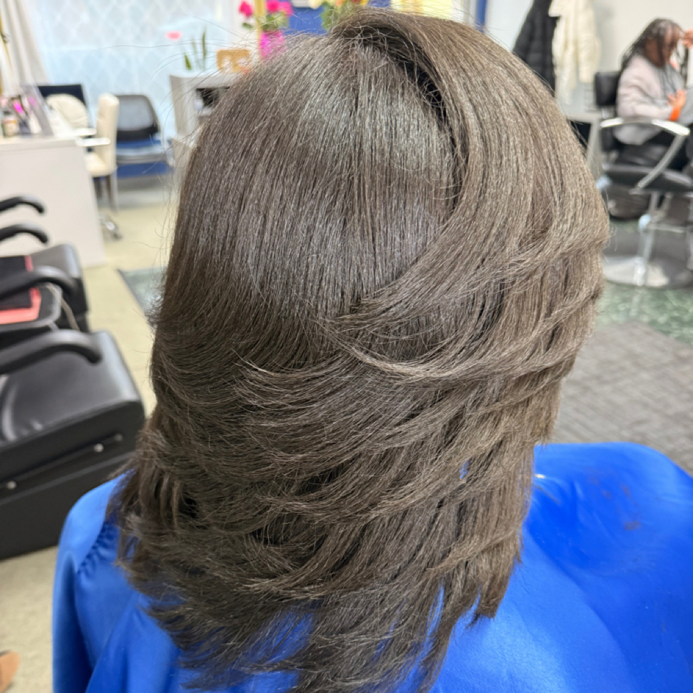 V’s Signature Silkpress + Haircut at Illustrious U Salon in Roseville, MI