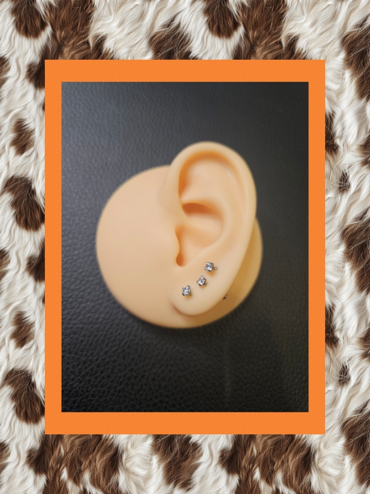 Double Lobe Piercing