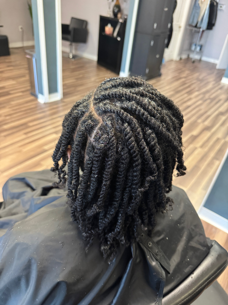 2 Strand Twists at Ashley Nicole's Beauty Bar in Oxon Hill, MD