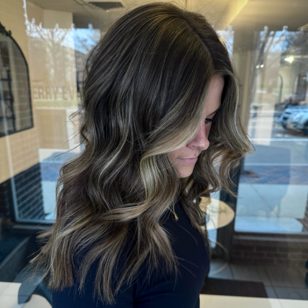 Partial Foil And Blow Dry at Hair By Holly @ Blush + Ivy in Wheaton, IL