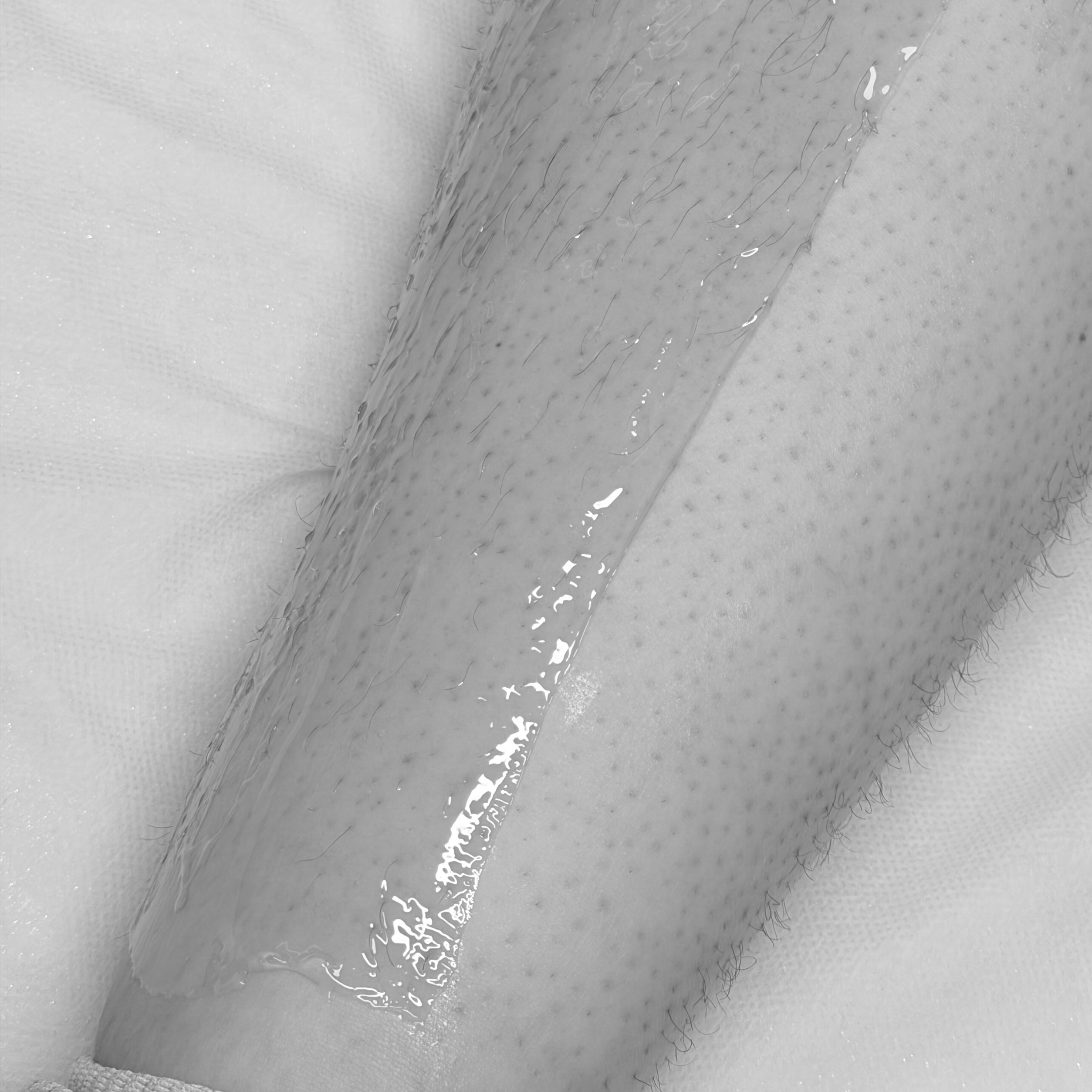 HALF BODY WAX at Cozmo Esthetics in Dallas, TX